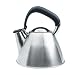 Kitchen & Housewares : Oxo Good Grips Downpour Tea Kettle, Brushed Stainless