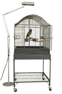 Zoo Med Avian Sun Deluxe Floor Lamp