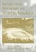 Sport and Memory in North America (Cass Series--Sport in the Global Society, 32.)