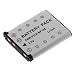 High Capacity Digital Camera Replacement Lithium-Ion Battery for FujiFilm FinePix Z30