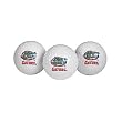 Florida Golf Balls 3- Pack
