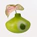 LEONARDO  Vase Green eye 16 cm