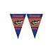 Florida Gators NCAA 25Ft String Of 6 x 9 Party Pennants (Flags) by BSI Products Inc.