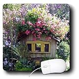 Birds - Birdshouse - Mouse Pads