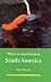 Where to Watch Birds in South America