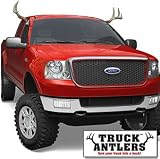TRUCK ANTLERS