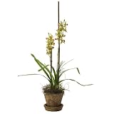 Faux Green Wild Cymbidium Orchid Plant