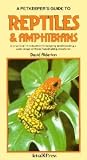 Petkeeper's Guide to Reptiles and Amphibians: A Practical Introduction to Keeping and ...