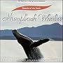 Sounds of the Earth: Humpback Whales
