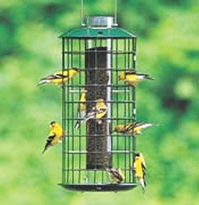 Duncraft 18102 Metal Nyjer Haven Feeder