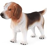 Medium Beagle Model