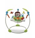 Fisher-Price Precious Planet Jumperoo