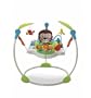 Fisher-Price Precious Planet Jumperoo