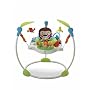 Fisher-Price Precious Planet Jumperoo