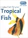 RSPCA Pet Guide - Care for your Tropical Fish