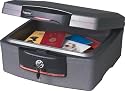 SentrySafe H2300 1/2 Hour FIRE-SAFE Waterproof Chest, 627 Cubic Inches, Silver Gray