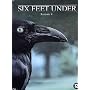 Six Feet Under - L'Int�grale Saison 4 - Coffret 5 &hellip <b>DVD</b> ~ Peter Krause