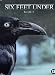 Six Feet Under - L'Intégrale Saison 4 - Coffret 5 DVD Six Feet Under - L'Intégrale Saison 4 - Coffret 5 DVD