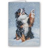 Bernese Mountain Dog Christmas Card
