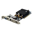 PNY GeForce 6200 256MB Low Profile AGP Graphics Card VCG62256AWB-LP