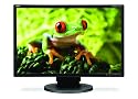 EA241WM-BK 24-Inch Wide LCD with DVI Speaker (Black)