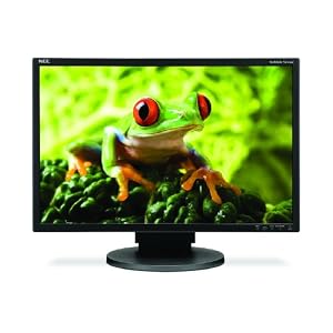 EA241WM-BK 24-Inch Wide LCD with DVI Speaker (Black)