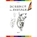 Dessiner les animaux