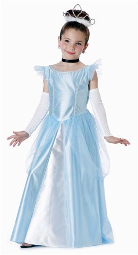 Cinderella Custom Costume (Girls Medium 8-10)