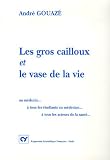 Les gros cailloux et le vase de la vie : Au m�decin... A tous les �tudiants en m�decine... A tous les acteurs de la sant�