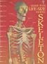 Make This Cut-Out Skeleton (Cut Out Model)
