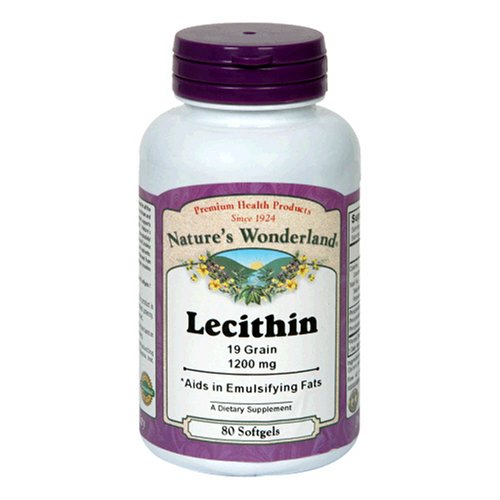 Nature's Wonderland Lecithin Softgels, 1200 mg, 80-Count Bottles (Pack of 4)
