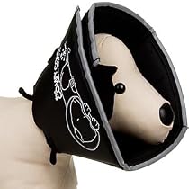 All Four Paws Small Comfy Cone, Color:Black