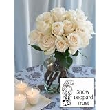 Snow Leopard Trust Roses
