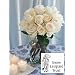40 Gifts that Give Back - Organic Flowers that donate to charity!