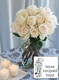 Snow Leopard Trust Roses