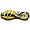 Brooks Men's Adrenaline GTS 8 Running Shoe,White/Platinum/Galaxy,14 D