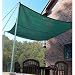 King Canopy 12' Quadrilateral Green Sun Shade Sail