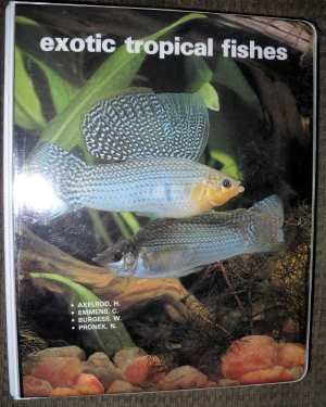 Exotic Tropical Fishes