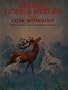 DRUIDS GODS&HEROS/CELT (World mythologies series)