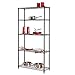 Honey-Can-Do SHF-01442 Storage Shelving, 5-Tier, Black