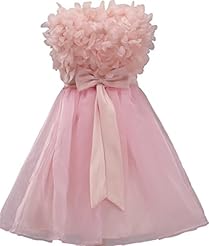 Short Corset Natural   Waistline Scoop Neck Prom Dress/Party Dress 