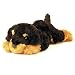   - Titus the Rottweiler