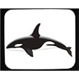 Mauspad mit Dekoration - Killer Whale