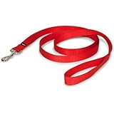 PetSafe Nylon Leash, 1" x 6', Red