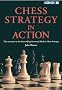 Chess Strategy in Action