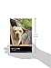 Marley and Me: Level 2 (Pearson English Graded Readers)