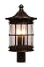 Artcraft Lighting AC8193OB Heritage Post Head Light, Oil-Rubbed Bronze