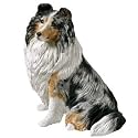 Companion Size - Shetland Sheepdog, Blue Merle