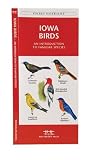 Iowa Birds: An Introduction to Familiar Species (State Nature Guides)