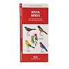 Iowa Birds: An Introduction to Familiar Species (State Nature Guides)
